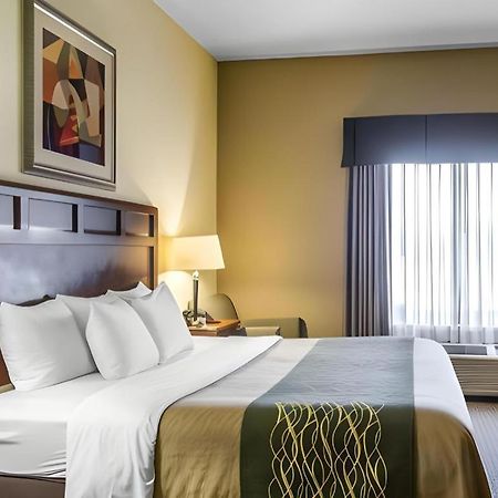 מדיסונוויל Comfort Inn & Suites מראה חיצוני תמונה