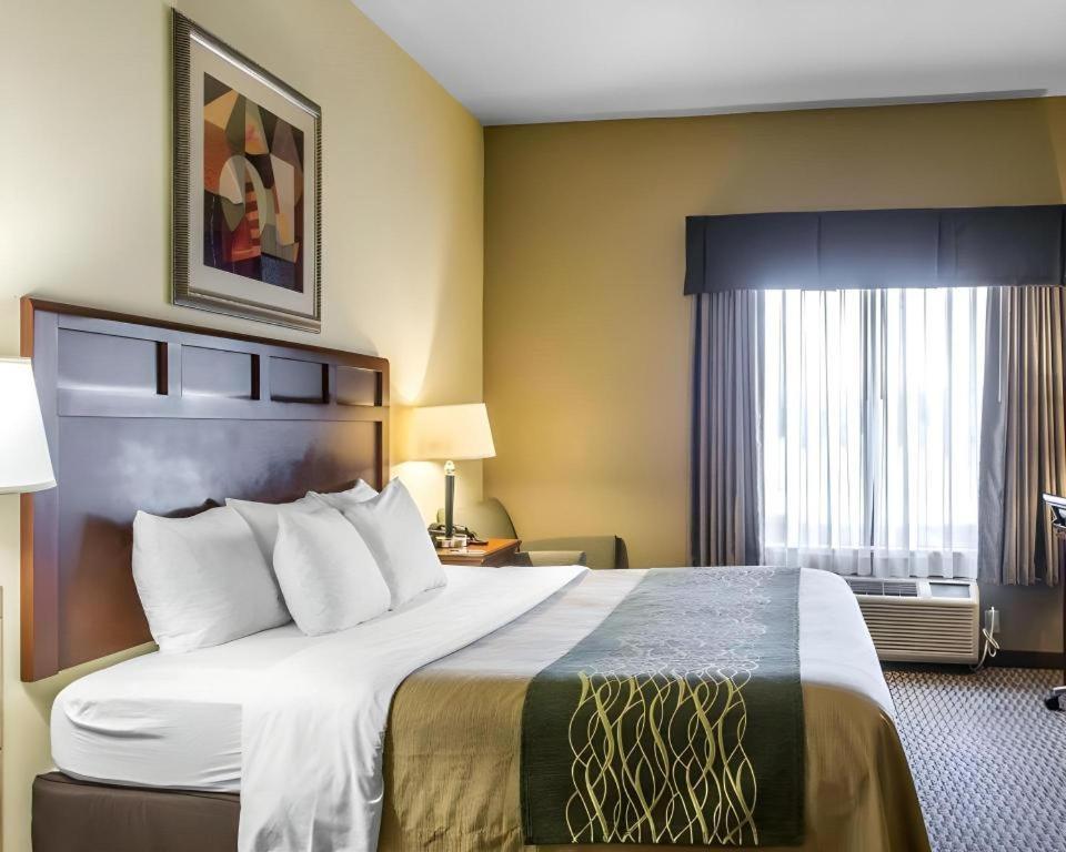 מדיסונוויל Comfort Inn & Suites מראה חיצוני תמונה