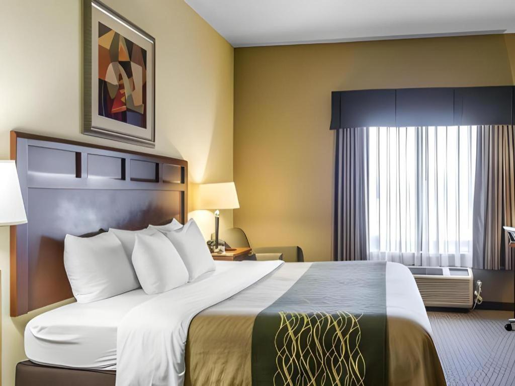 מדיסונוויל Comfort Inn & Suites מראה חיצוני תמונה