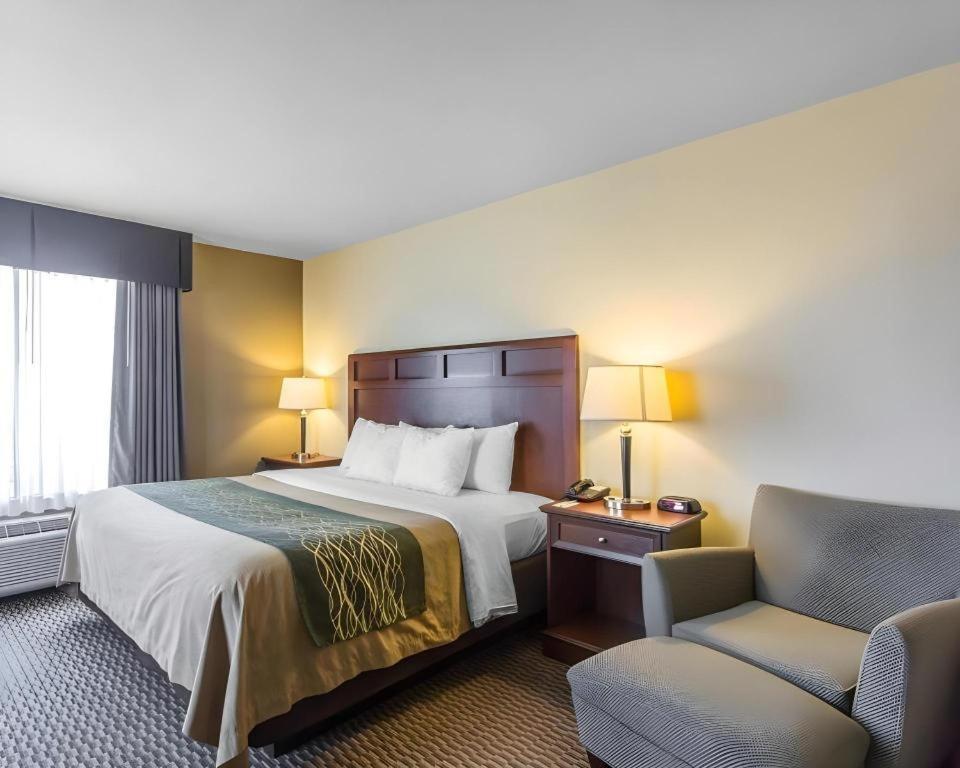 מדיסונוויל Comfort Inn & Suites מראה חיצוני תמונה