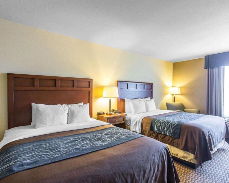 מדיסונוויל Comfort Inn & Suites מראה חיצוני תמונה