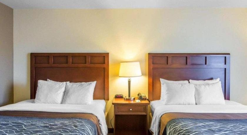 מדיסונוויל Comfort Inn & Suites מראה חיצוני תמונה