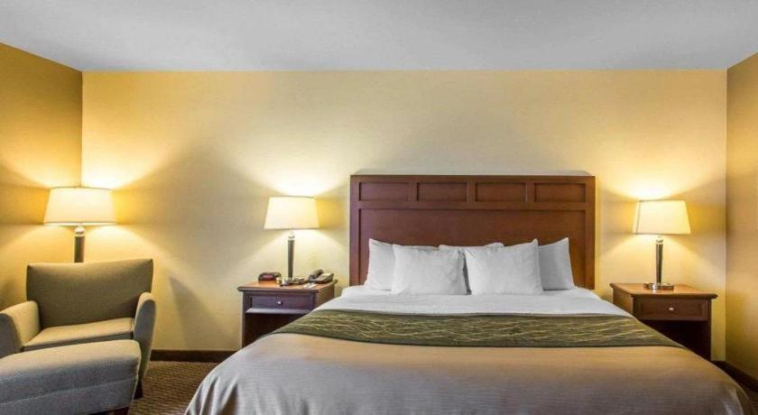 מדיסונוויל Comfort Inn & Suites מראה חיצוני תמונה