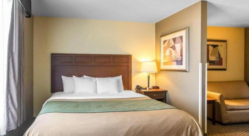 מדיסונוויל Comfort Inn & Suites מראה חיצוני תמונה