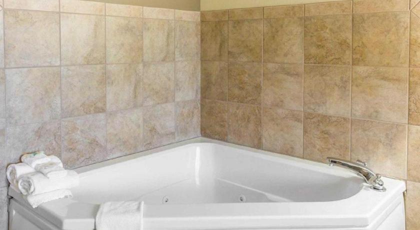 מדיסונוויל Comfort Inn & Suites מראה חיצוני תמונה