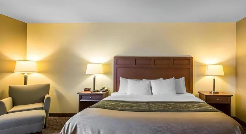 מדיסונוויל Comfort Inn & Suites מראה חיצוני תמונה