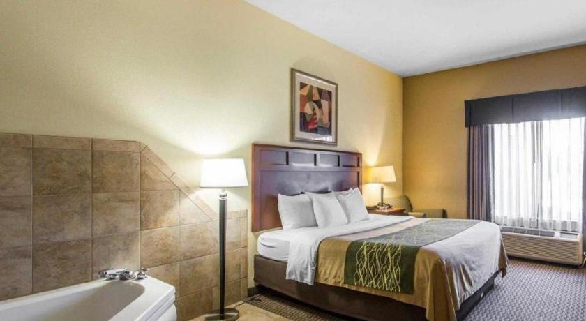 מדיסונוויל Comfort Inn & Suites מראה חיצוני תמונה